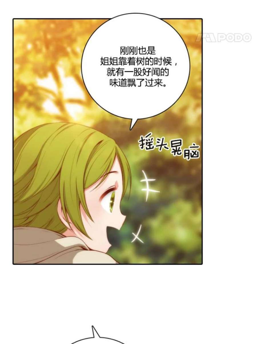 阿多尼斯29.水精灵