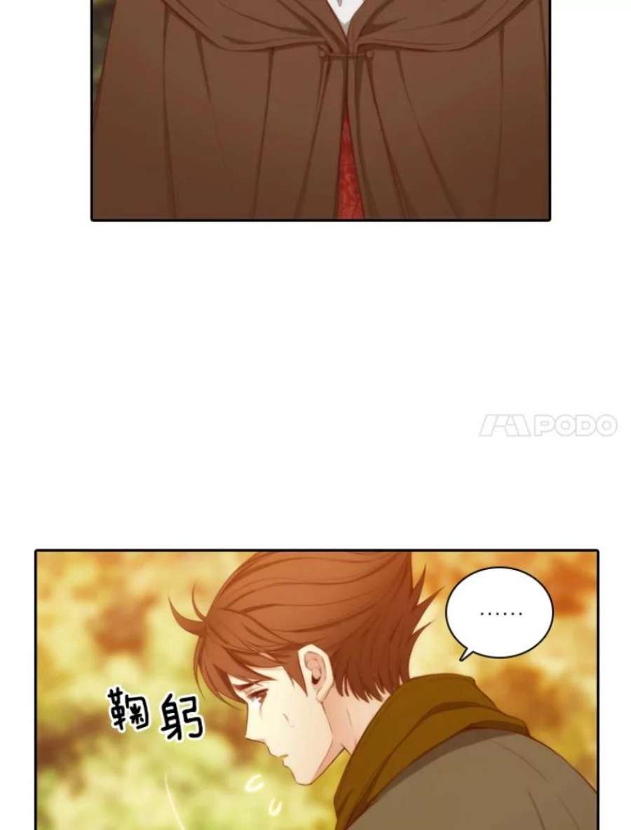阿多尼斯30.半精灵