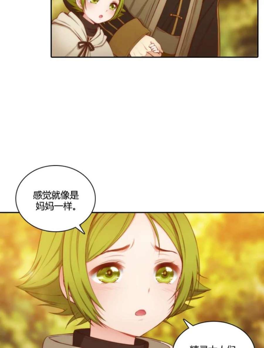 阿多尼斯30.半精灵