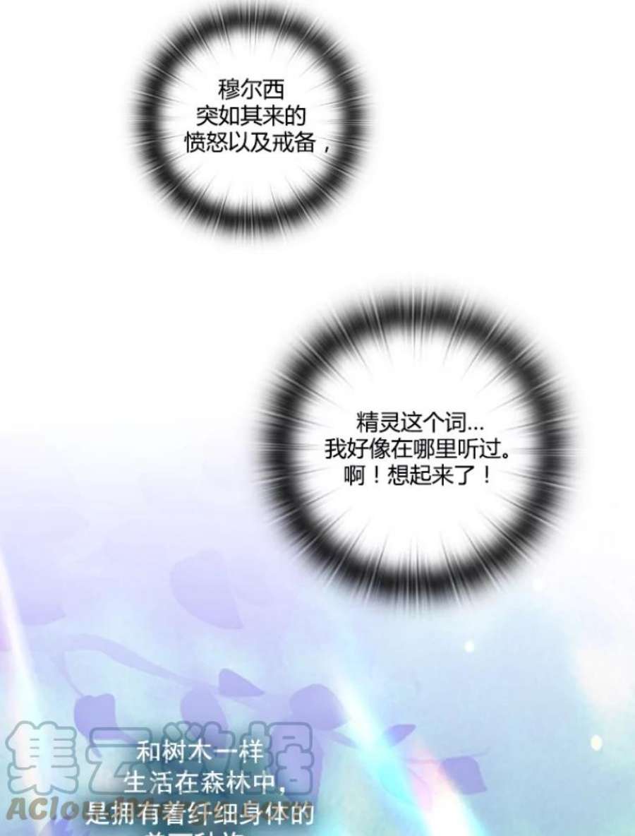 阿多尼斯30.半精灵