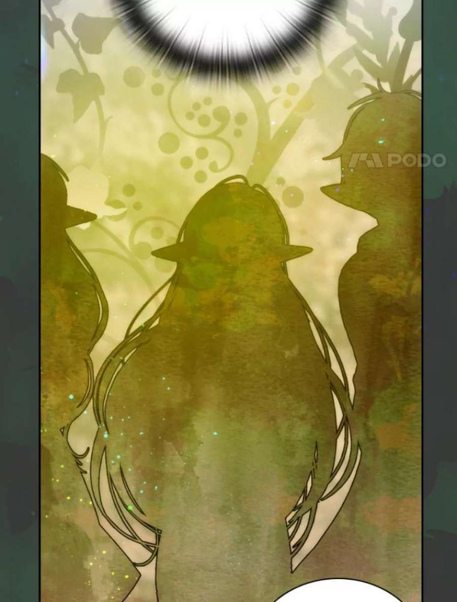 阿多尼斯30.半精灵