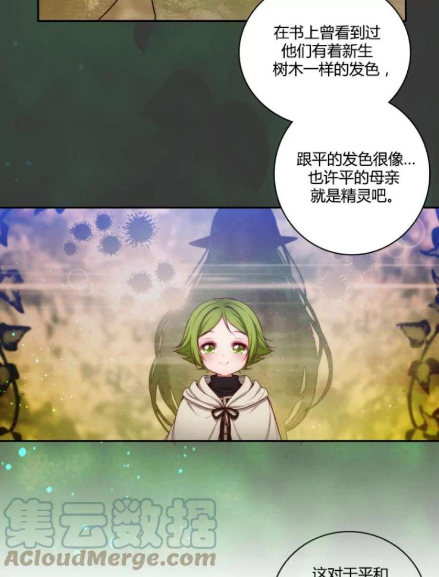 阿多尼斯30.半精灵