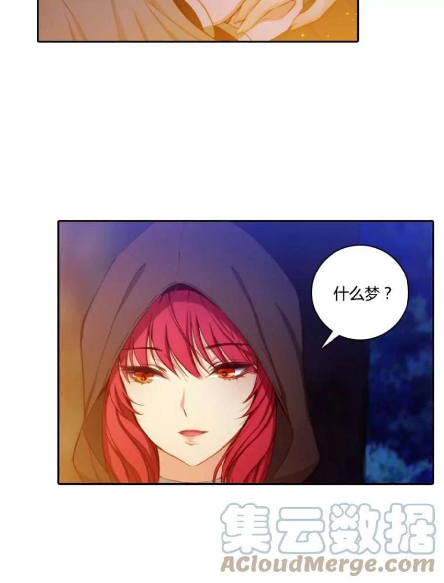阿多尼斯30.半精灵