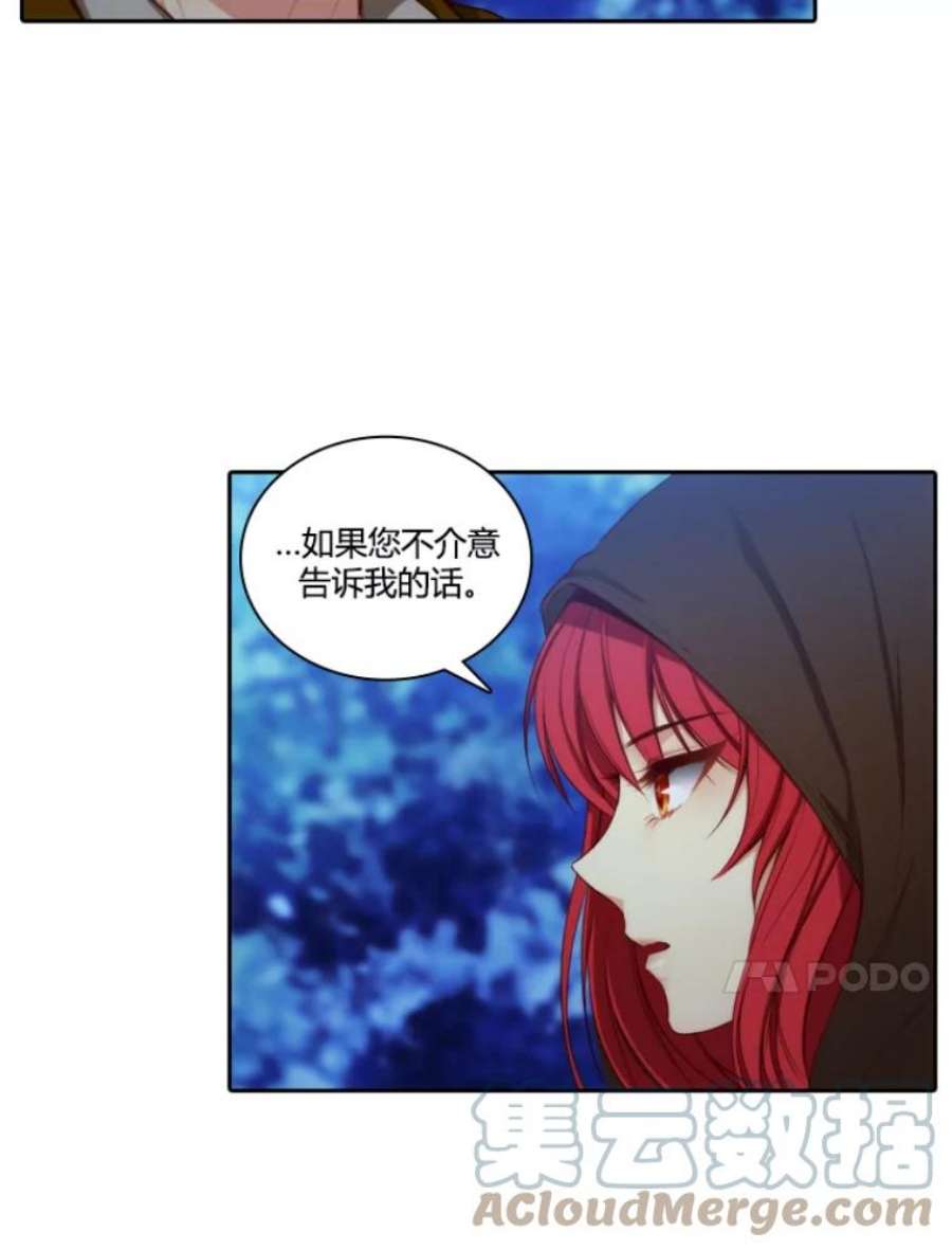 阿多尼斯30.半精灵
