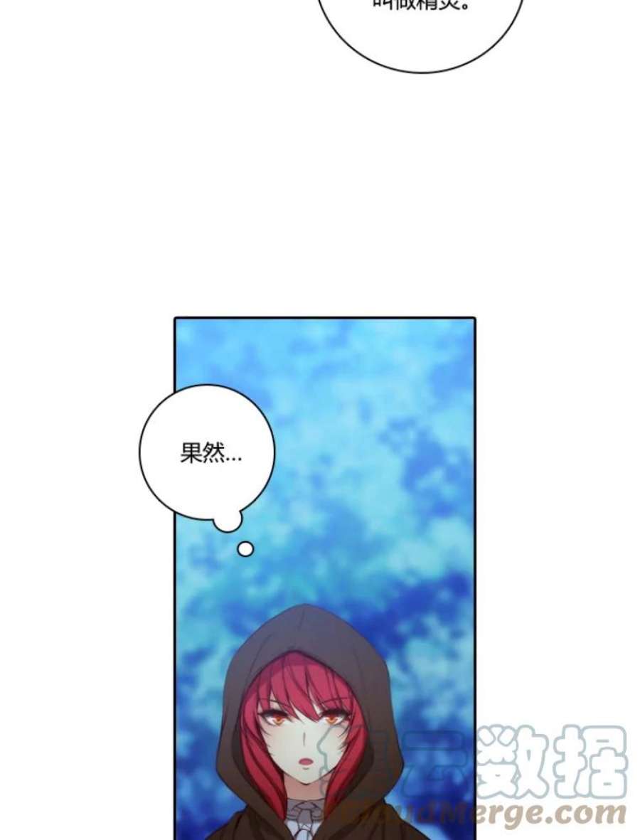 阿多尼斯30.半精灵