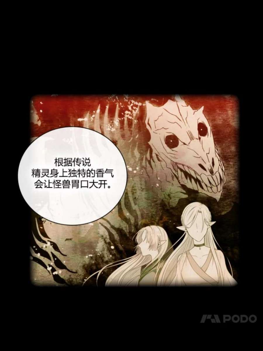 阿多尼斯30.半精灵