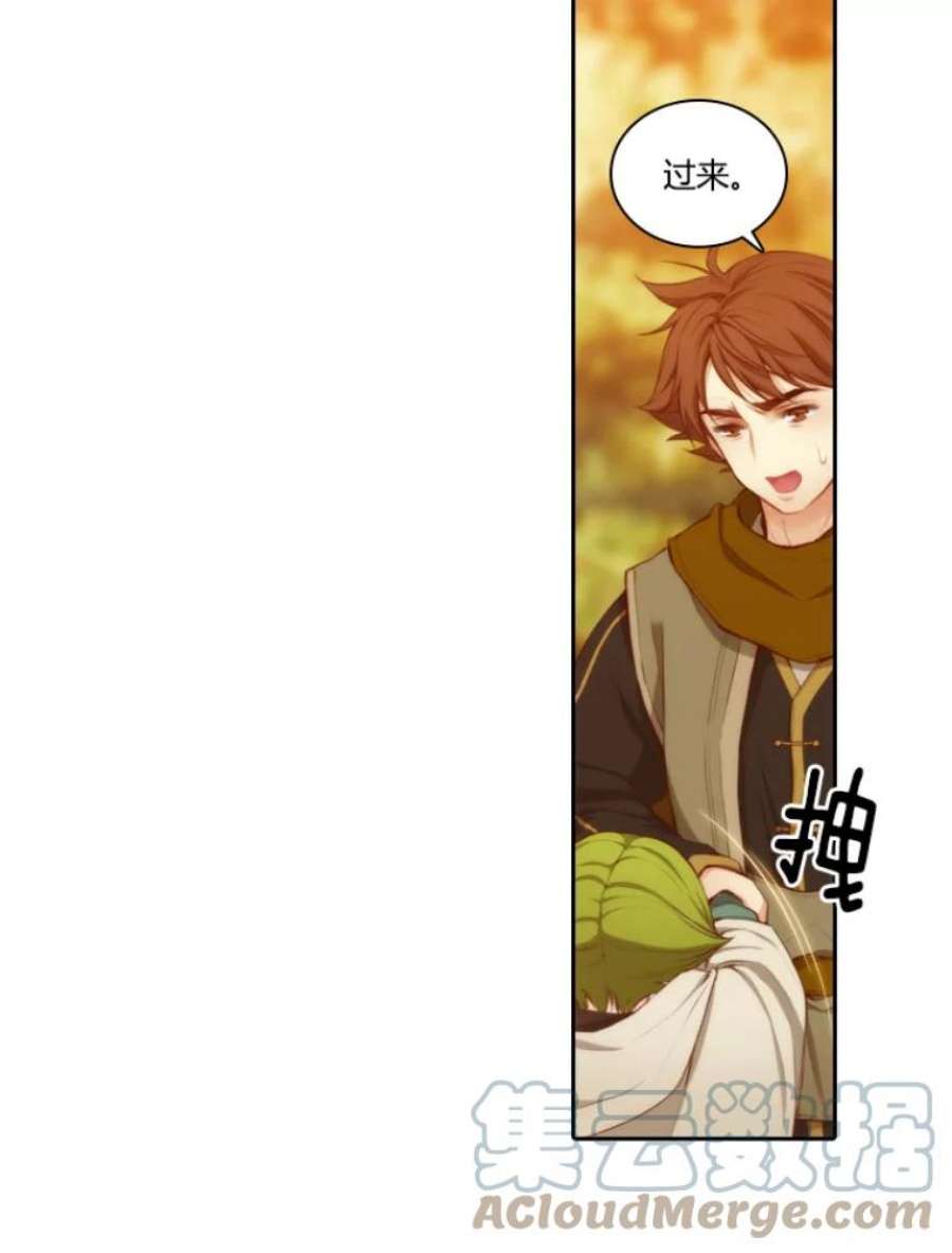 阿多尼斯30.半精灵