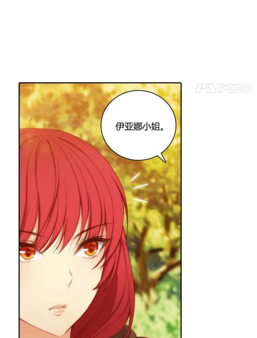 阿多尼斯30.半精灵