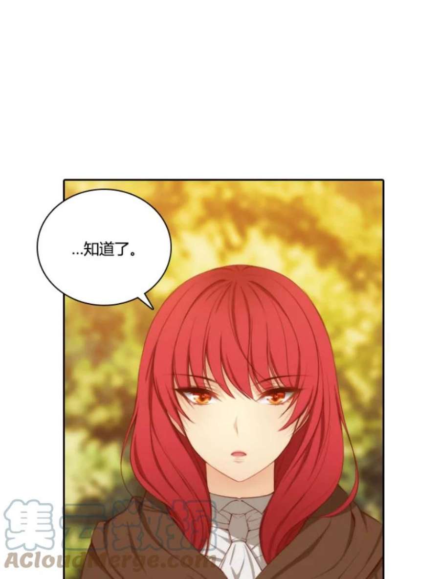 阿多尼斯30.半精灵