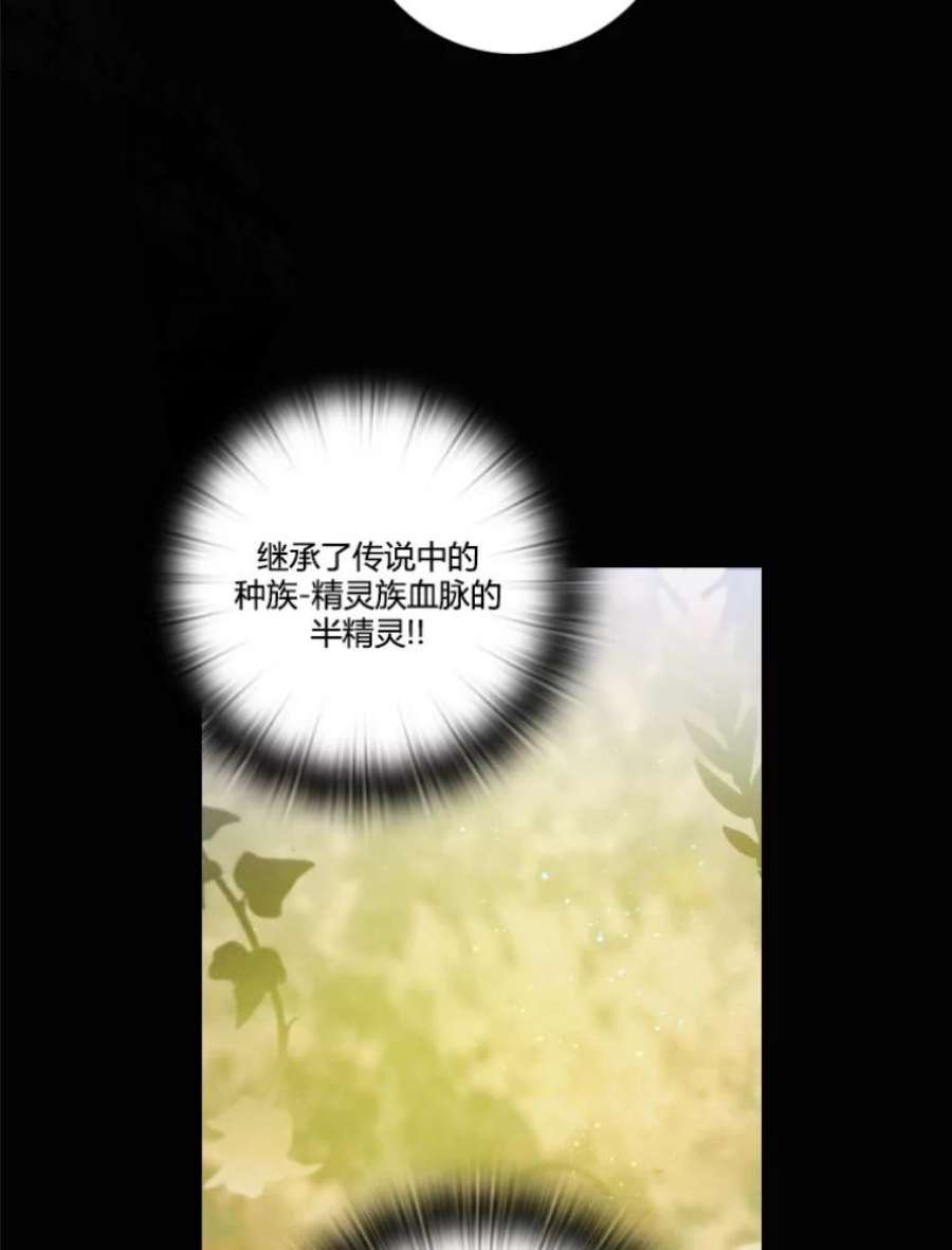 阿多尼斯32.黑色骑士