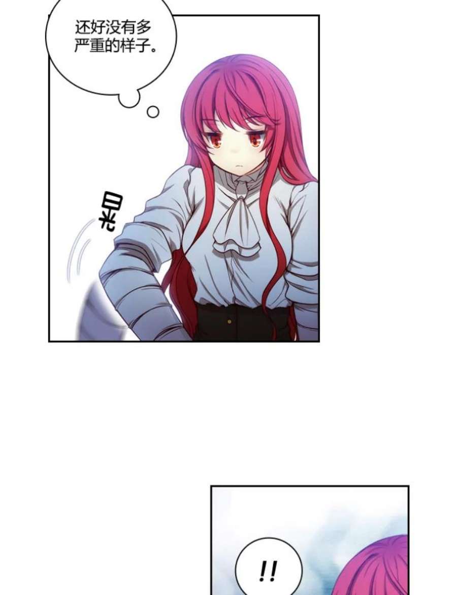 阿多尼斯33.受伤