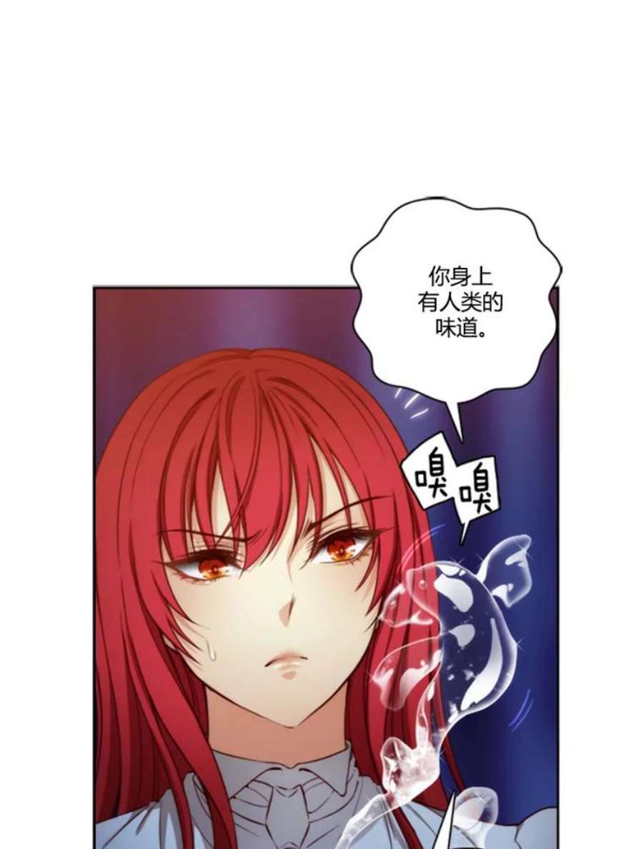 阿多尼斯35.精灵王