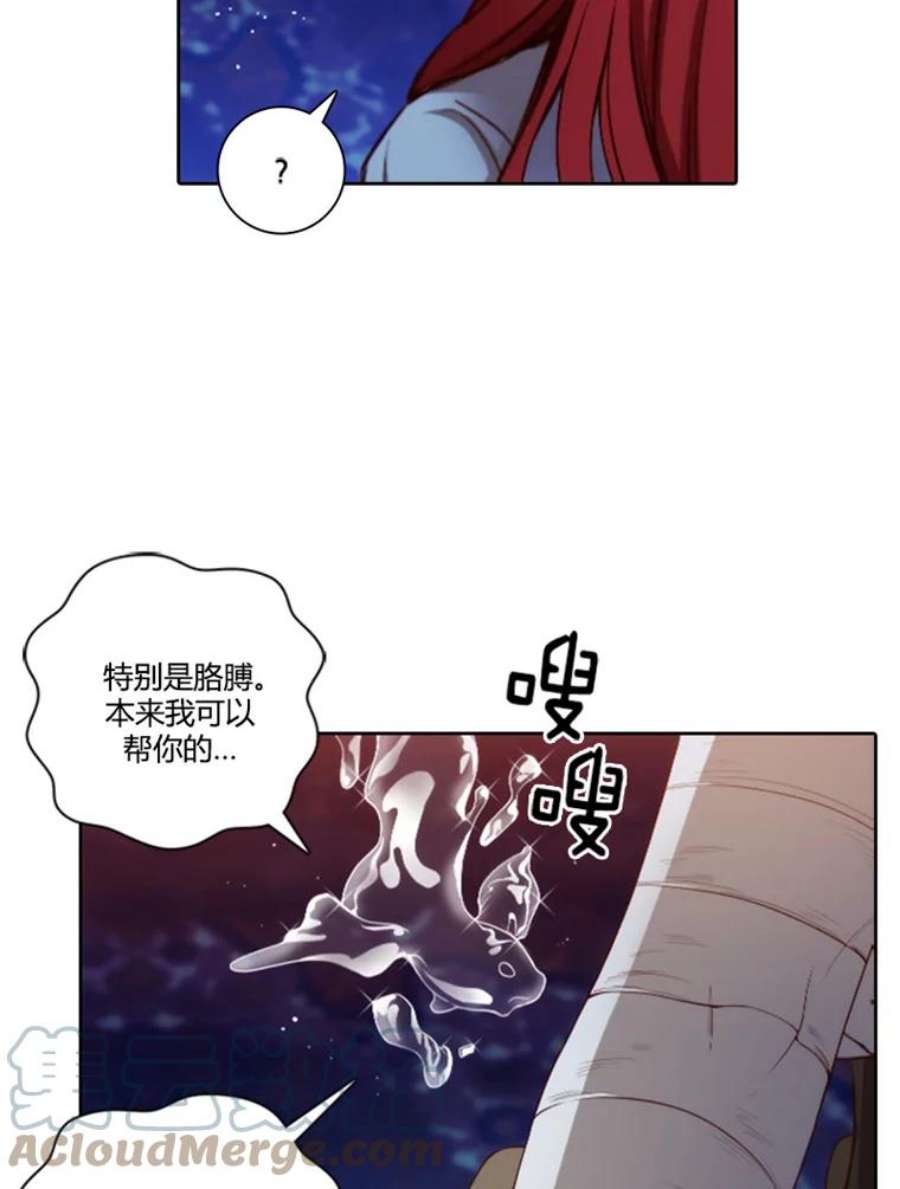 阿多尼斯35.精灵王