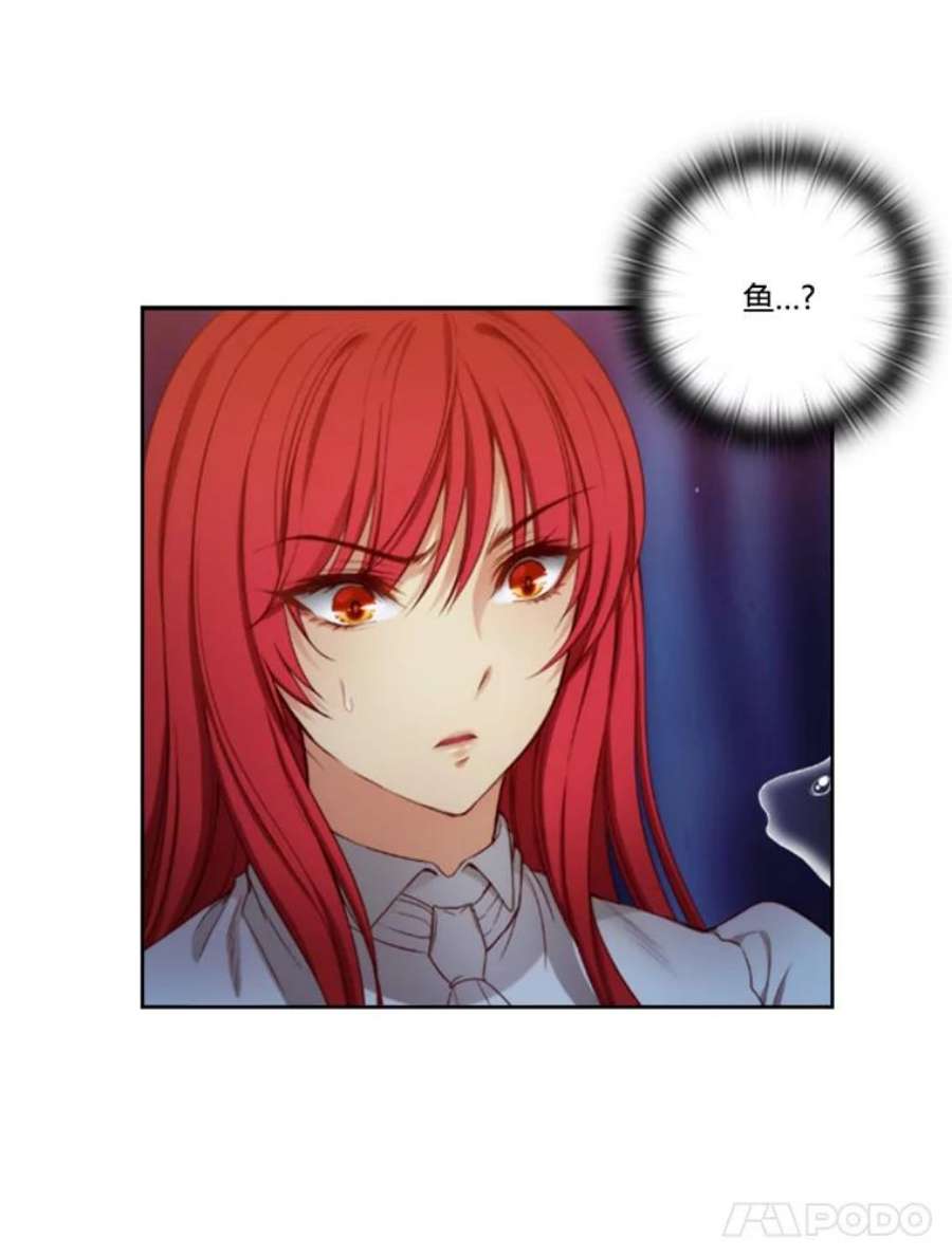 阿多尼斯35.精灵王