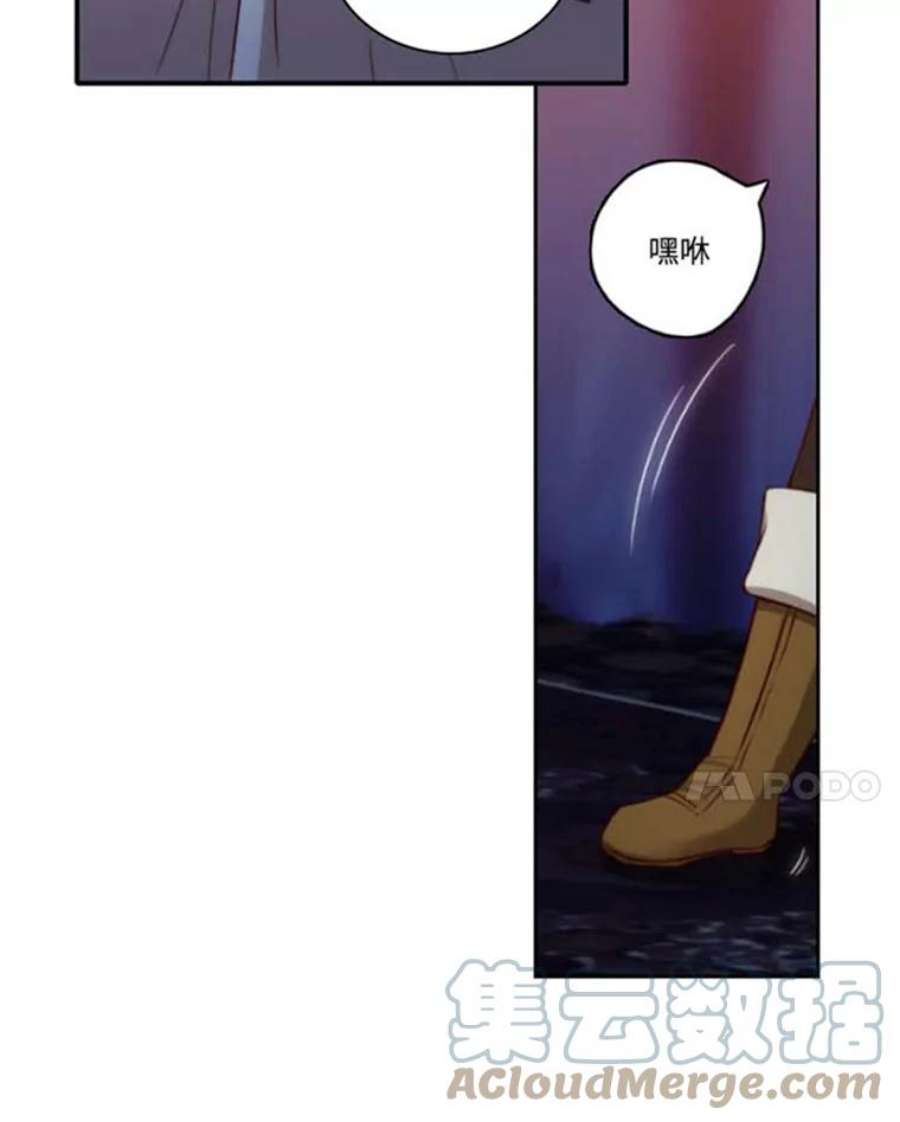 阿多尼斯36.谜团