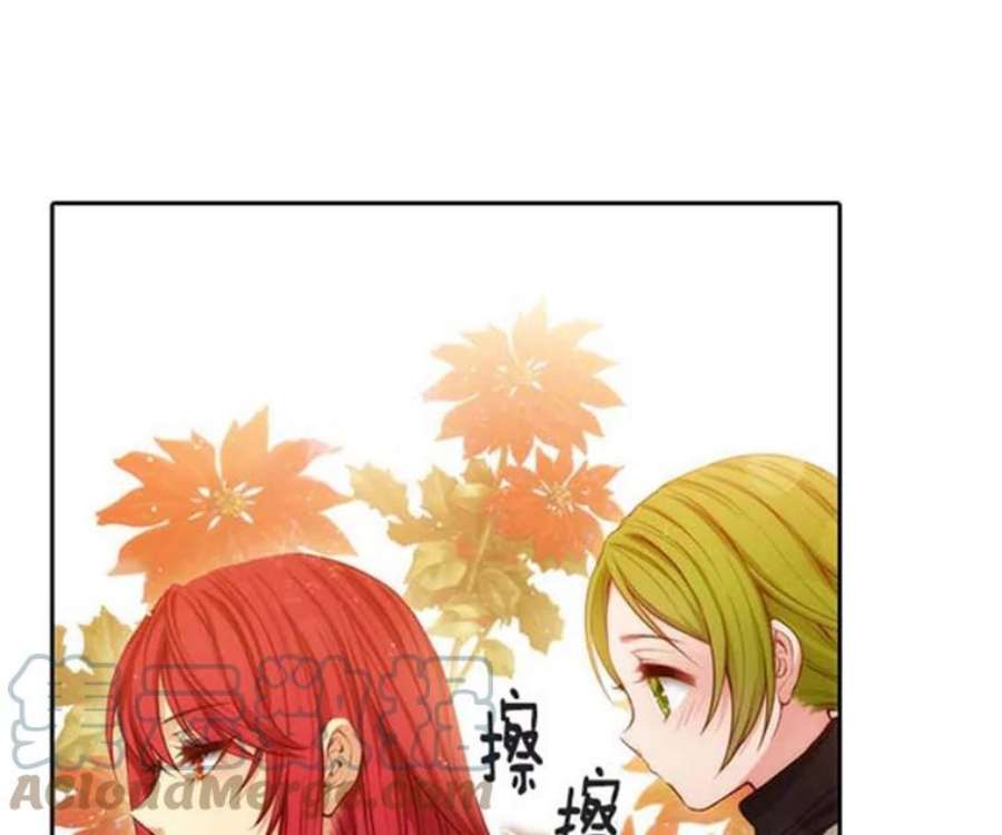 阿多尼斯36.谜团