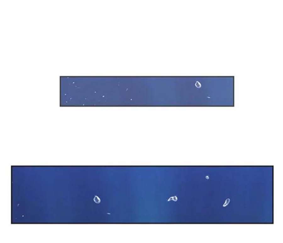 阿多尼斯36.谜团