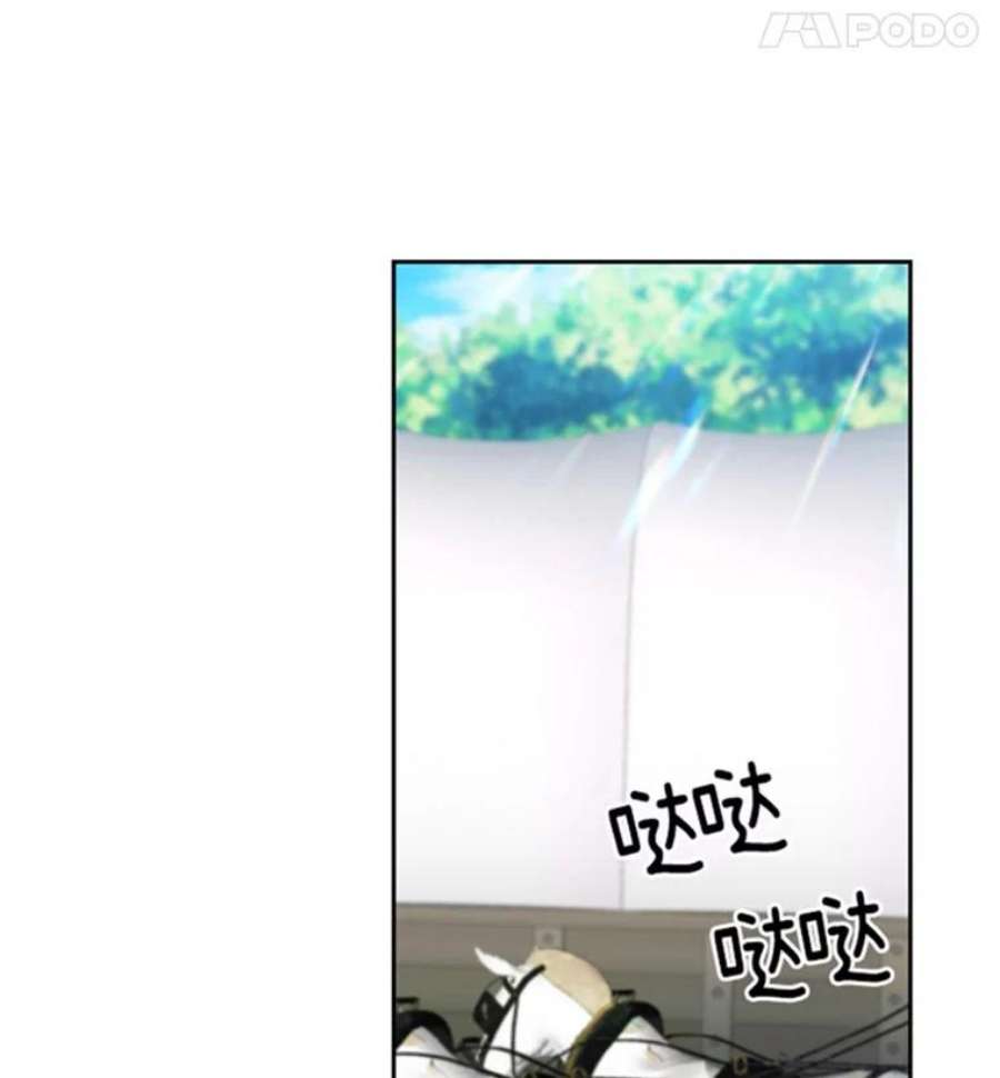 阿多尼斯37.虔诚