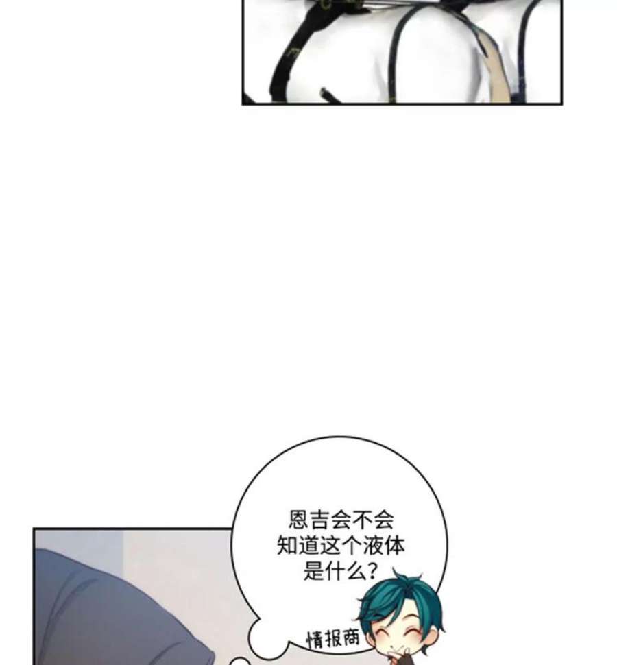 阿多尼斯37.虔诚