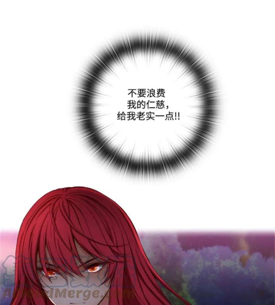 阿多尼斯38.矛盾