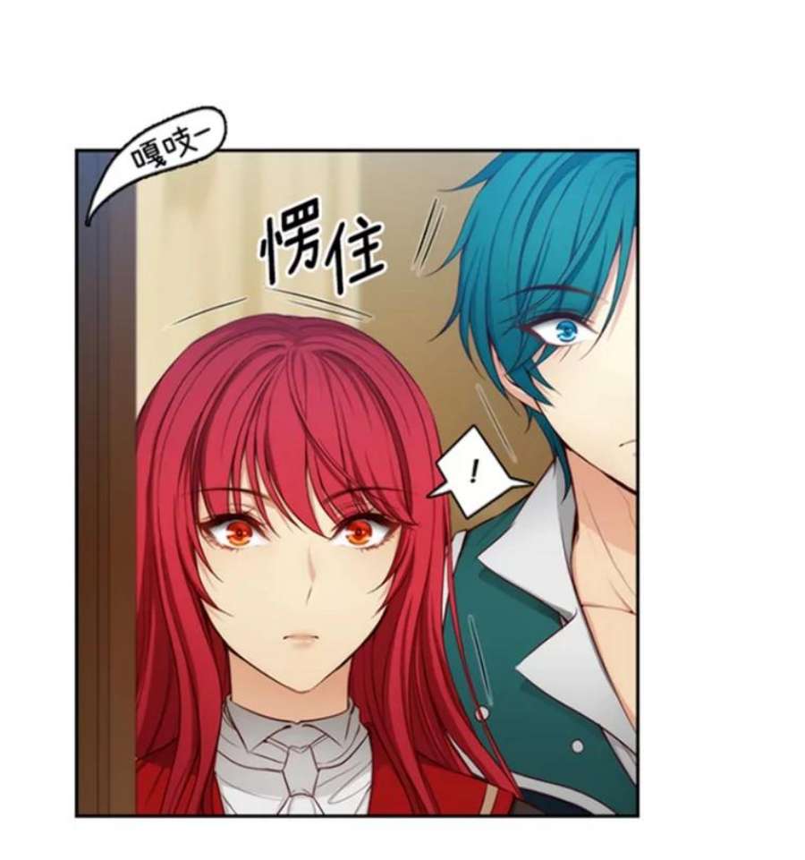 阿多尼斯40.昂贵的药剂