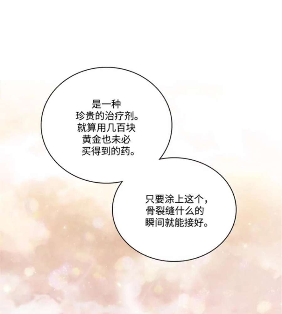 阿多尼斯40.昂贵的药剂