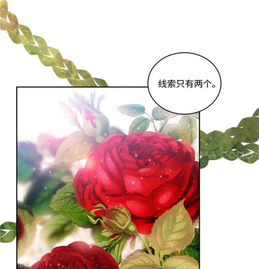 阿多尼斯45.罗伊恩族