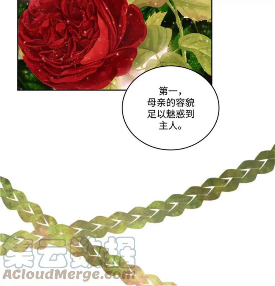 阿多尼斯45.罗伊恩族