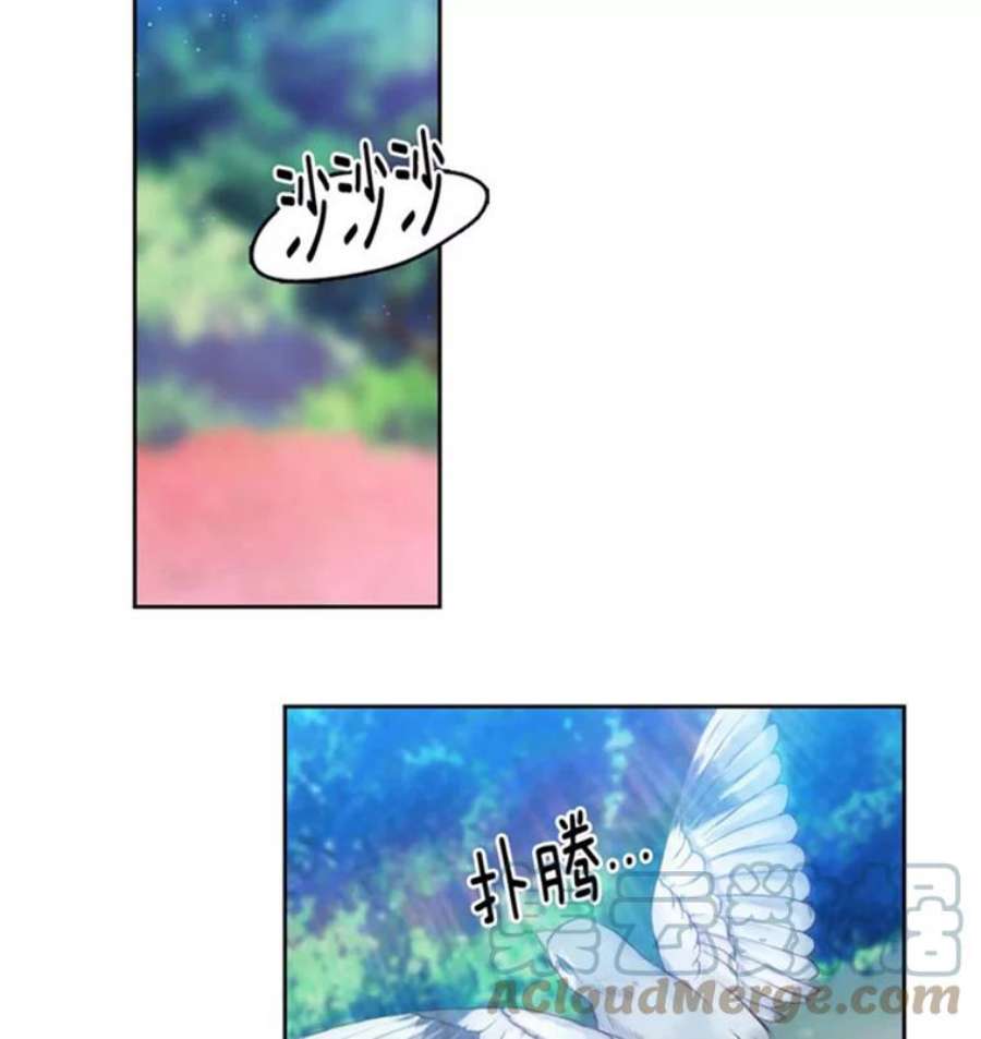阿多尼斯47.新的开始