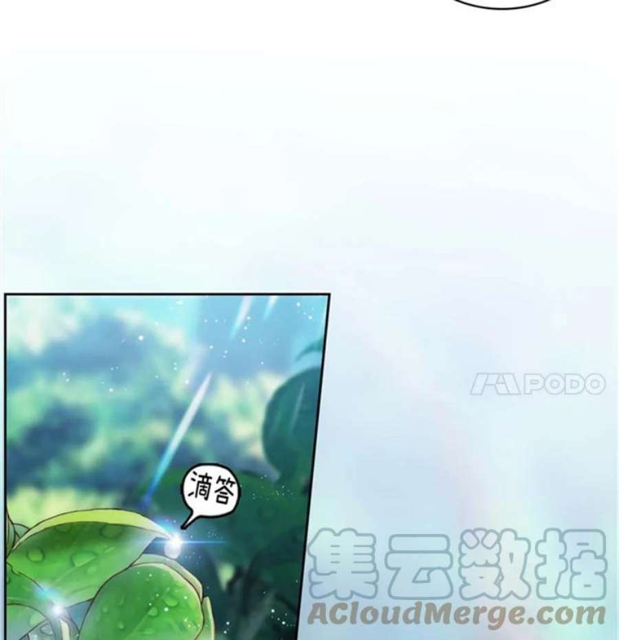 阿多尼斯47.新的开始