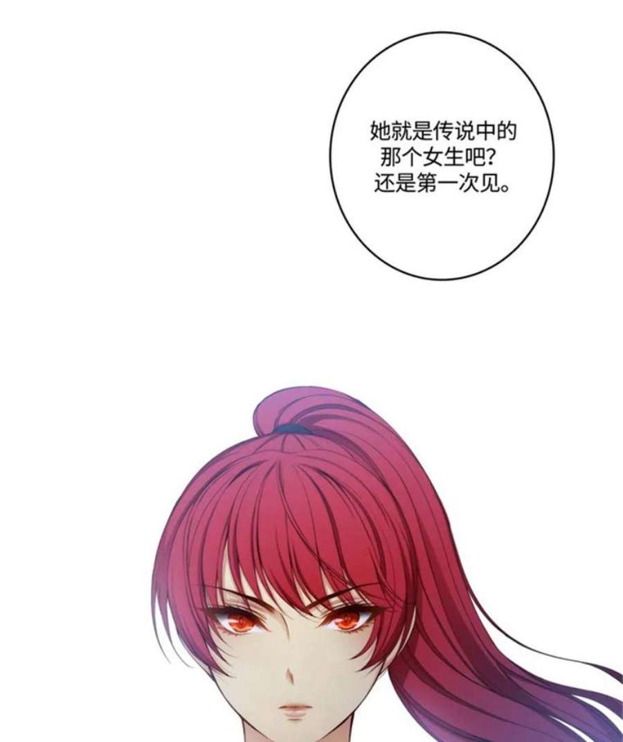 阿多尼斯47.新的开始
