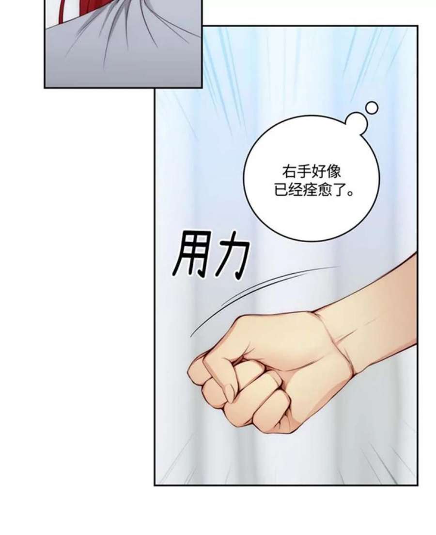 阿多尼斯47.新的开始