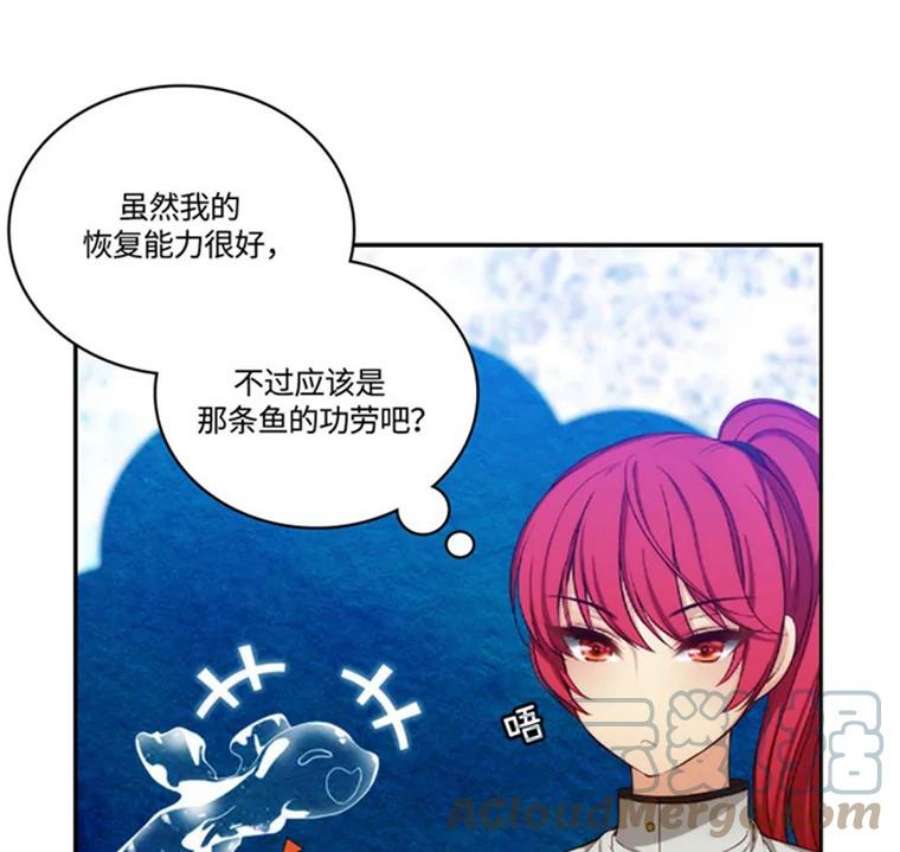 阿多尼斯47.新的开始