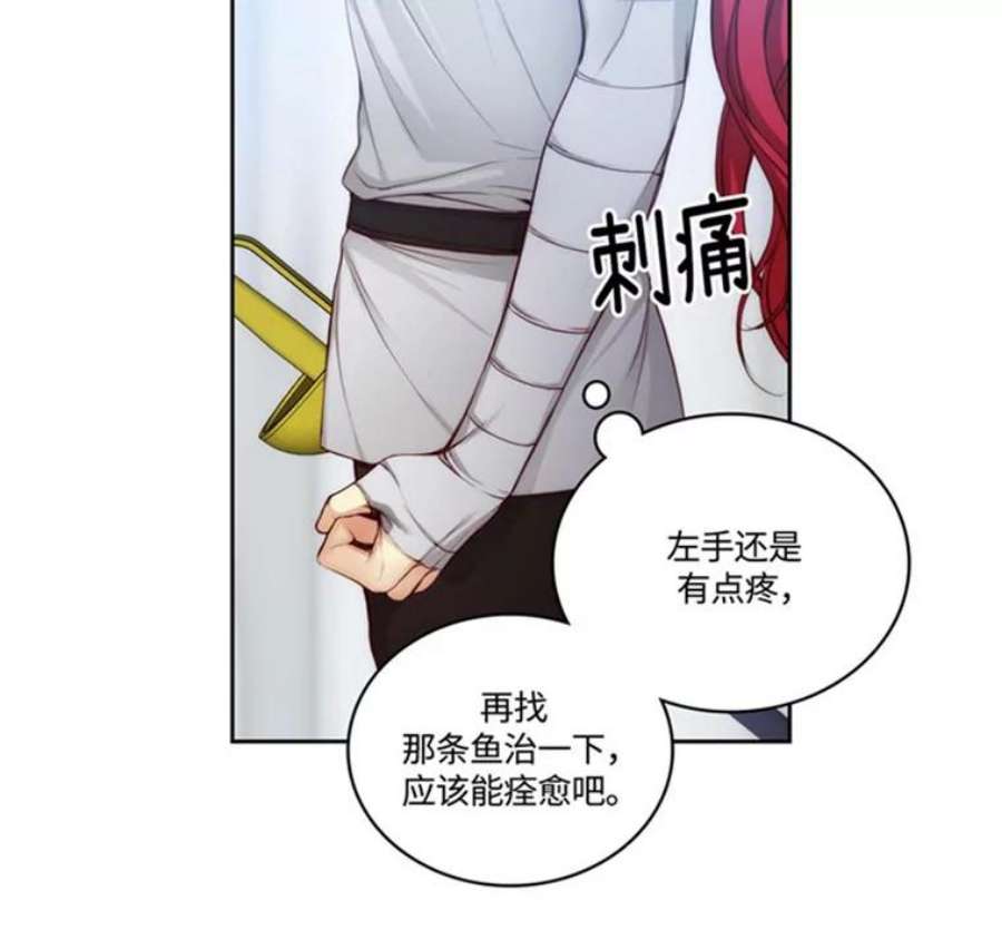 阿多尼斯47.新的开始