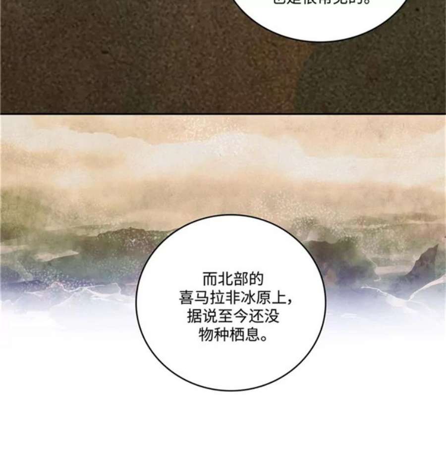 阿多尼斯50.个人训练室