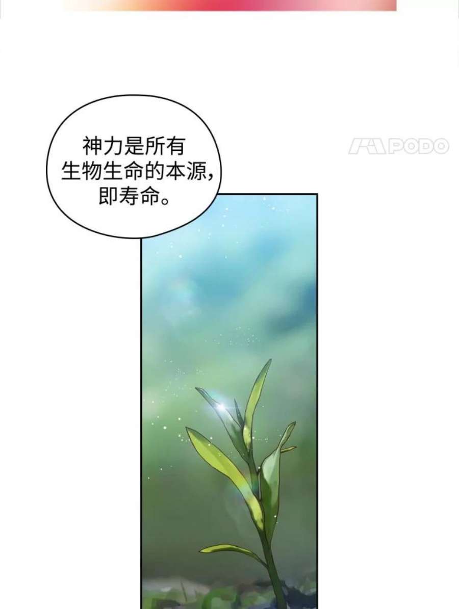 阿多尼斯51.诸神