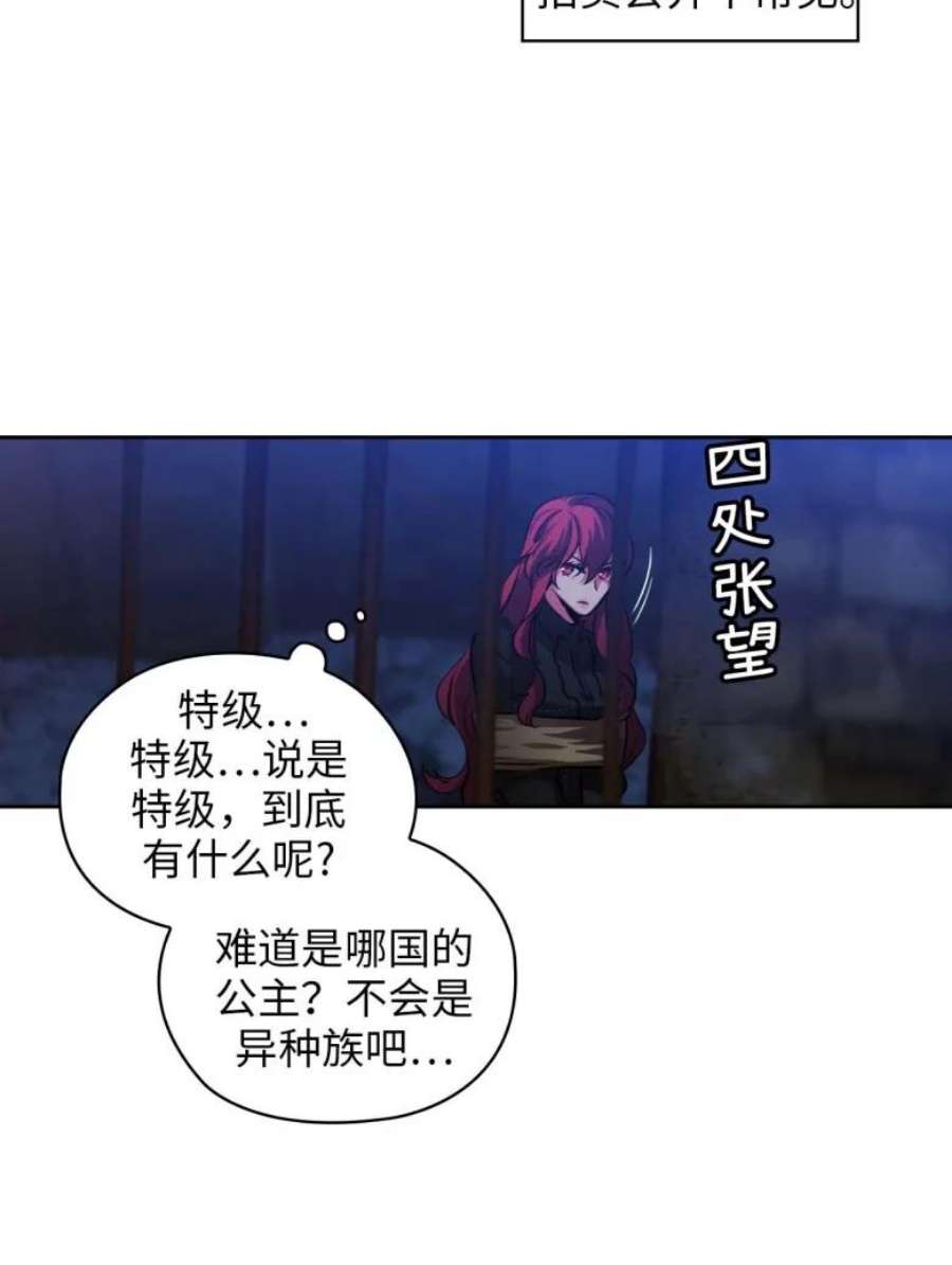 阿多尼斯78.拍卖会