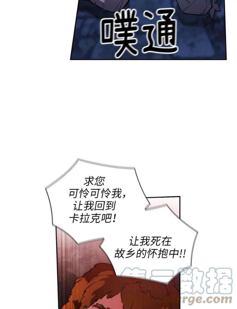 阿多尼斯78.拍卖会
