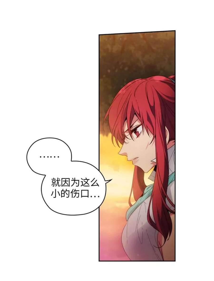 阿多尼斯94.爱护