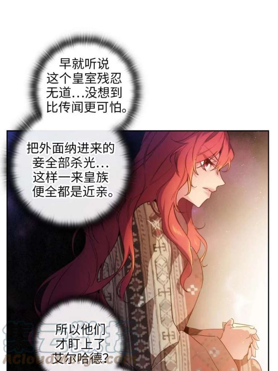 阿多尼斯95.篝火夜话