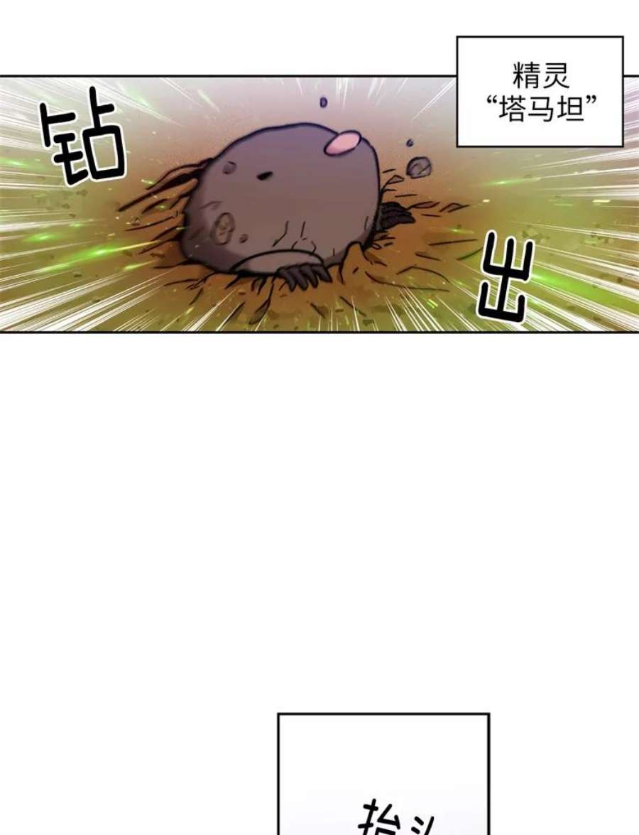 阿多尼斯101.塔马坦精灵