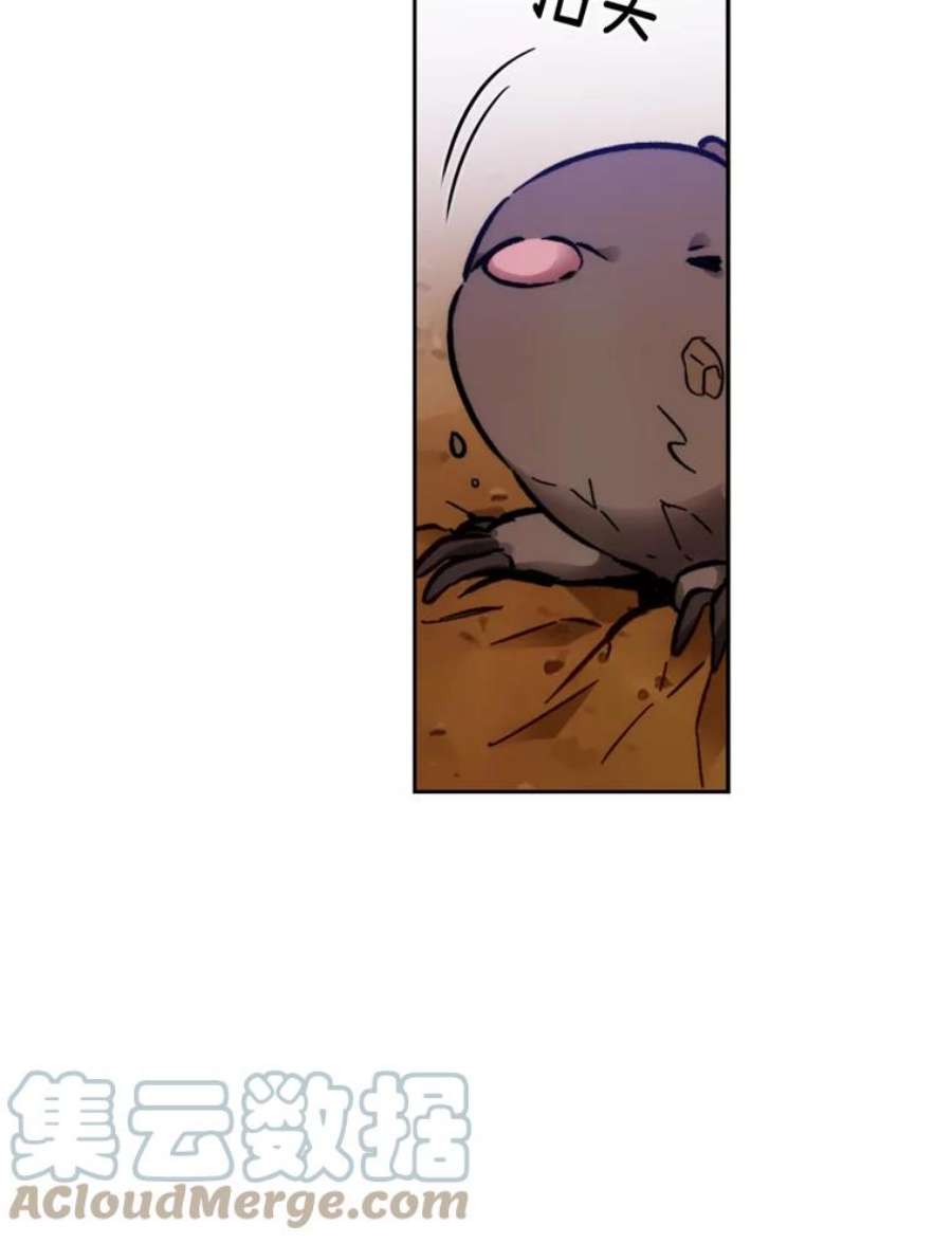 阿多尼斯101.塔马坦精灵