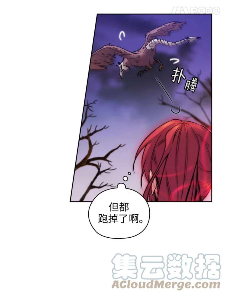 阿多尼斯101.塔马坦精灵