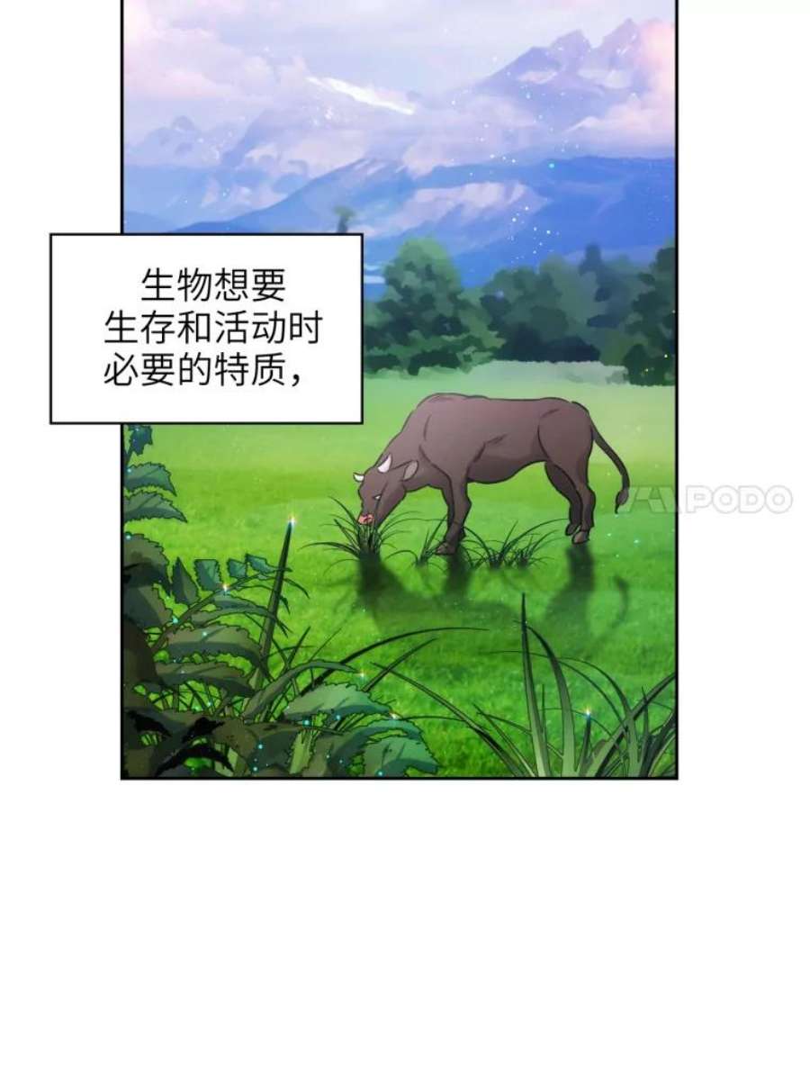 阿多尼斯125.魔力与神力