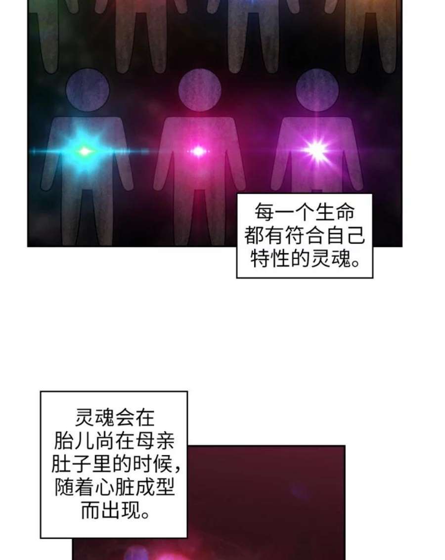 阿多尼斯126.魔力制约论