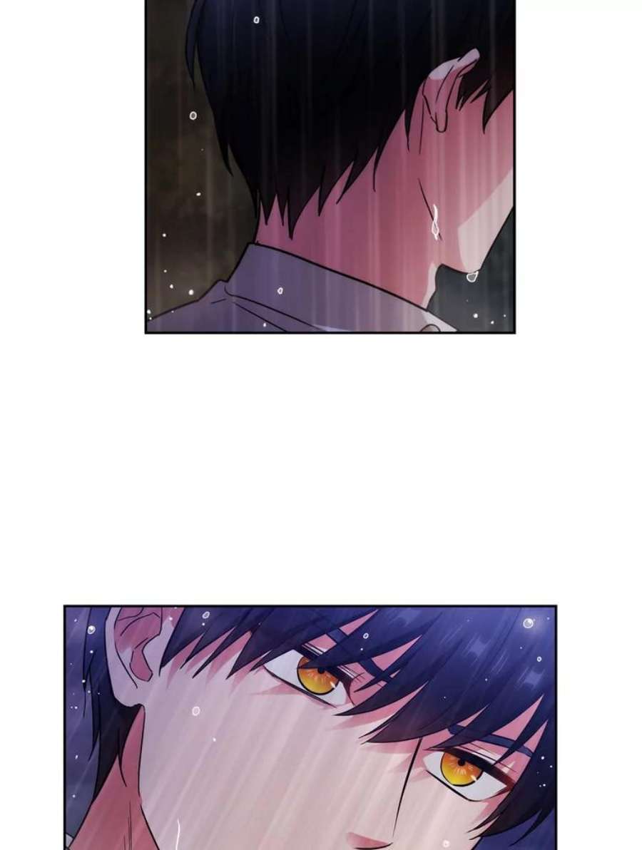 阿多尼斯139.雨中冒险