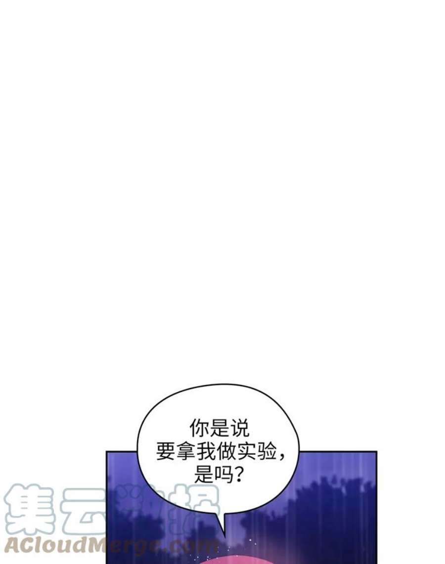 阿多尼斯139.雨中冒险