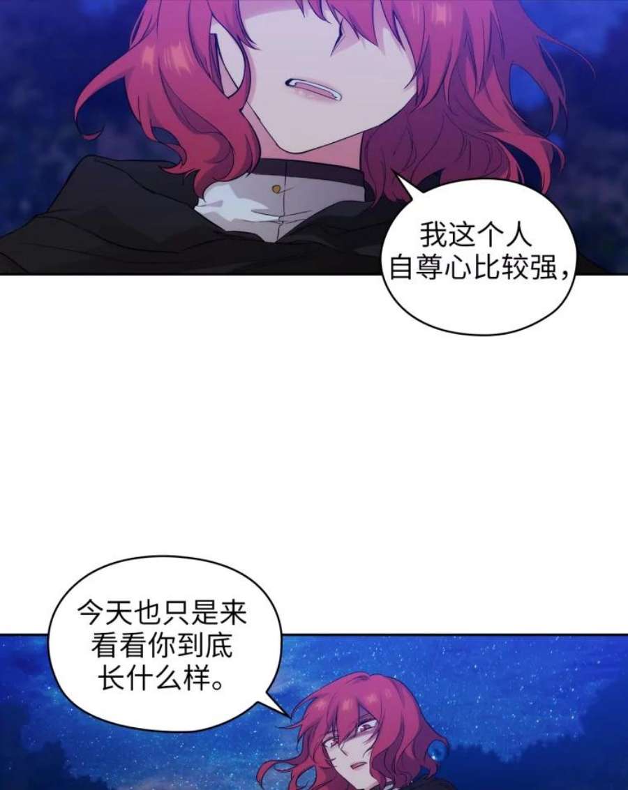 阿多尼斯144.魔法师现身