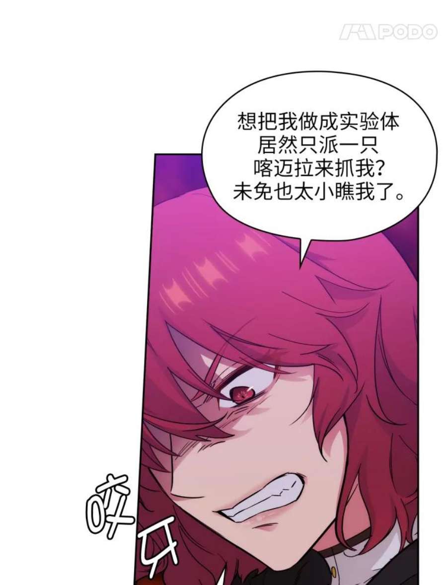 阿多尼斯144.魔法师现身