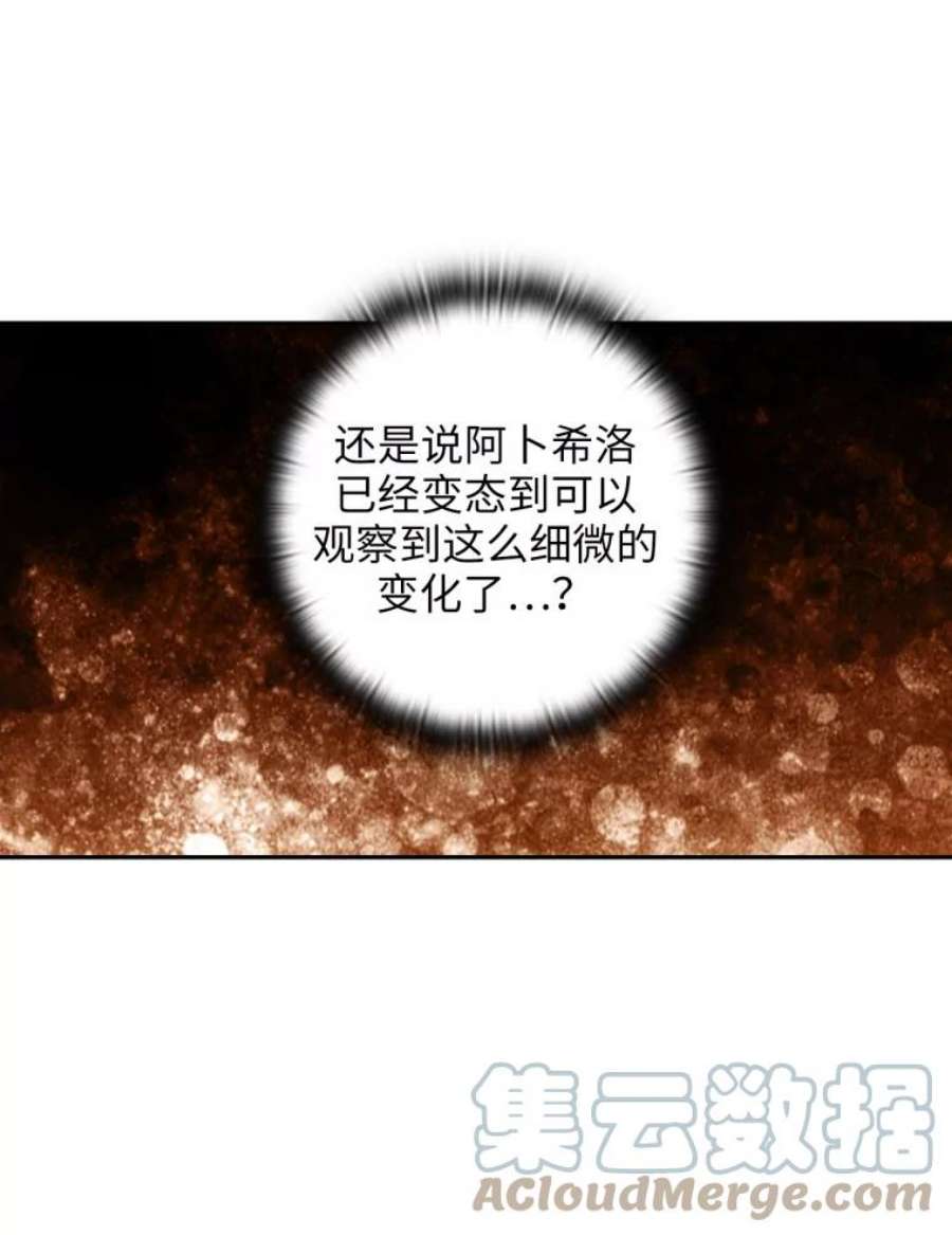 阿多尼斯149.猎狐行动